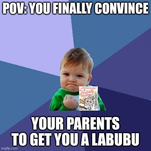 Success Kid | POV: YOU FINALLY CONVINCE; YOUR PARENTS TO GET YOU A LABUBU | image tagged in memes,success kid | made w/ Imgflip meme maker