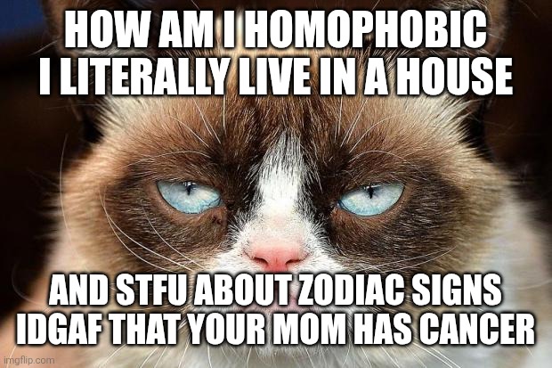 Grumpy Cat Not Amused | HOW AM I HOMOPHOBIC I LITERALLY LIVE IN A HOUSE; AND STFU ABOUT ZODIAC SIGNS IDGAF THAT YOUR MOM HAS CANCER | image tagged in memes,grumpy cat not amused,grumpy cat | made w/ Imgflip meme maker