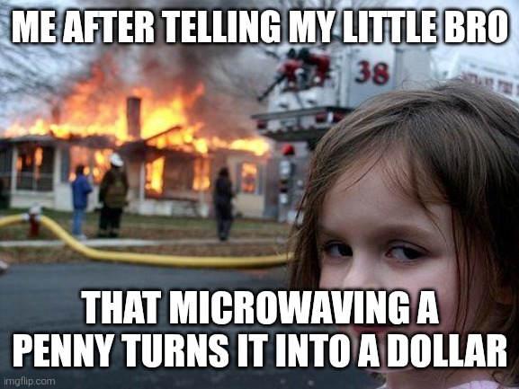 Disaster Girl | ME AFTER TELLING MY LITTLE BRO; THAT MICROWAVING A PENNY TURNS IT INTO A DOLLAR | image tagged in memes,disaster girl | made w/ Imgflip meme maker