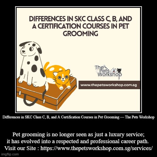 Differences in SKC Class C, B, and A Certification Courses in Pet Grooming — The Pets Workshop | Pet grooming is no longer seen as just a lu | image tagged in funny,demotivationals | made w/ Imgflip demotivational maker