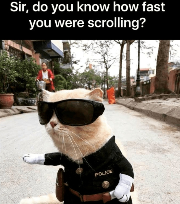 you were scrolling fast Blank Meme Template