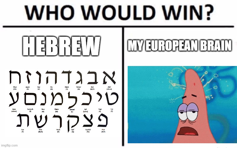 Still a amazing language | HEBREW; MY EUROPEAN BRAIN | image tagged in memes,who would win | made w/ Imgflip meme maker