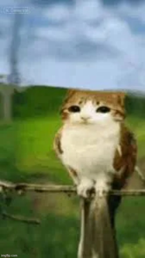 the creature | made w/ Imgflip meme maker