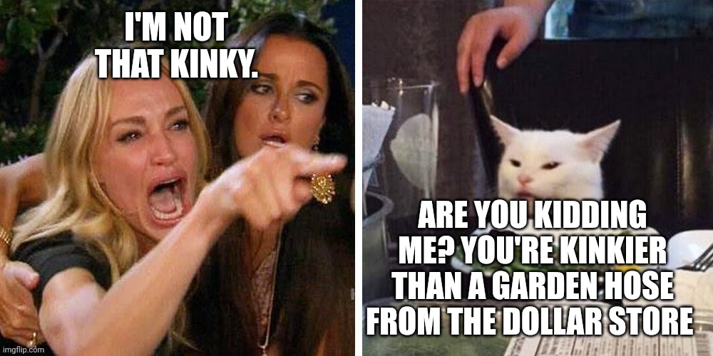 Smudge that darn cat with Karen | I'M NOT THAT KINKY. ARE YOU KIDDING ME? YOU'RE KINKIER THAN A GARDEN HOSE FROM THE DOLLAR STORE | image tagged in smudge that darn cat with karen | made w/ Imgflip meme maker