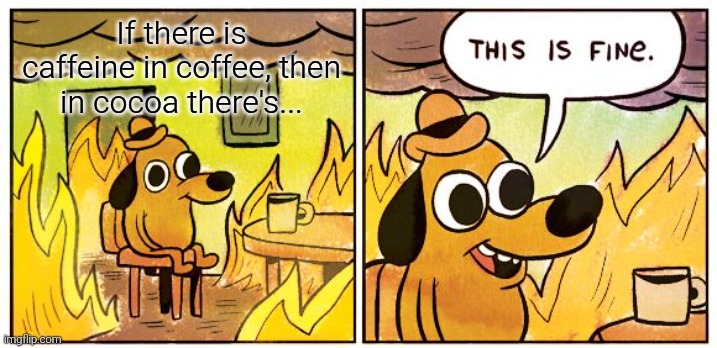 This Is Fine | If there is caffeine in coffee, then in cocoa there's... | image tagged in memes,this is fine | made w/ Imgflip meme maker