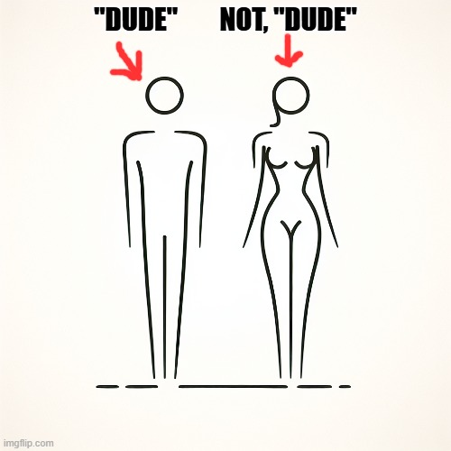 I am not a, "dude" | "DUDE"        NOT, "DUDE" | image tagged in dude,sexism,misogyny,misogynist,feminist,feminism | made w/ Imgflip meme maker