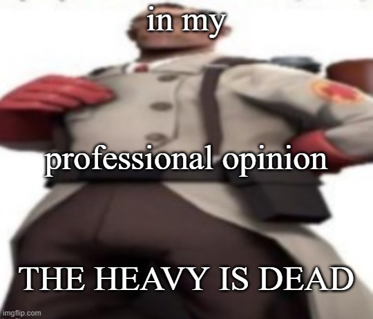 THE HEAVY IS DEAD?!?! | in my; professional opinion; THE HEAVY IS DEAD | image tagged in ze medic | made w/ Imgflip meme maker
