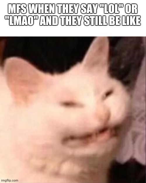 Ugh | MFS WHEN THEY SAY "LOL" OR "LMAO" AND THEY STILL BE LIKE | image tagged in no like | made w/ Imgflip meme maker