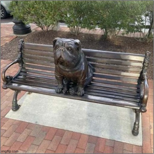 I Want To Sit Next To That Dog ! | image tagged in dogs,bench,sculpture | made w/ Imgflip meme maker