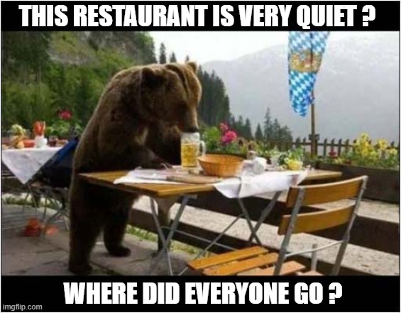 Oooh ... Free Beer ! | THIS RESTAURANT IS VERY QUIET ? WHERE DID EVERYONE GO ? | image tagged in bear,restaurant,free,beer | made w/ Imgflip meme maker
