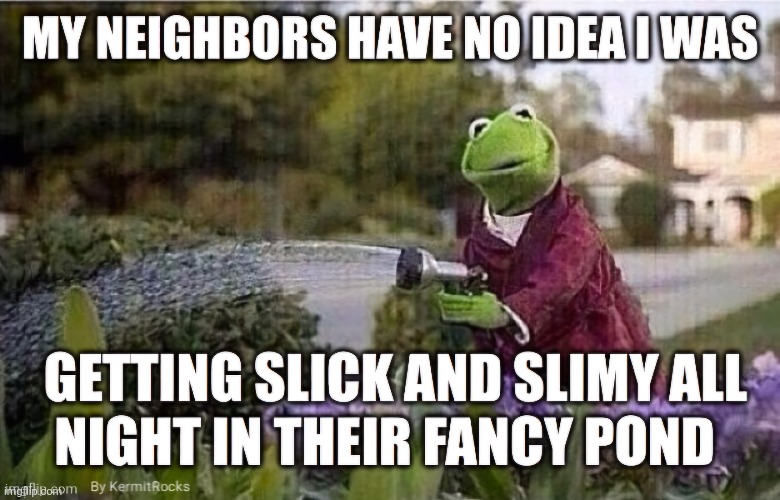 KermitRocks | image tagged in memes | made w/ Imgflip meme maker