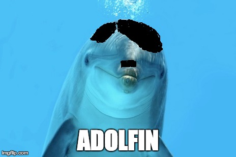 ADOLFIN | image tagged in funny,dolphin | made w/ Imgflip meme maker