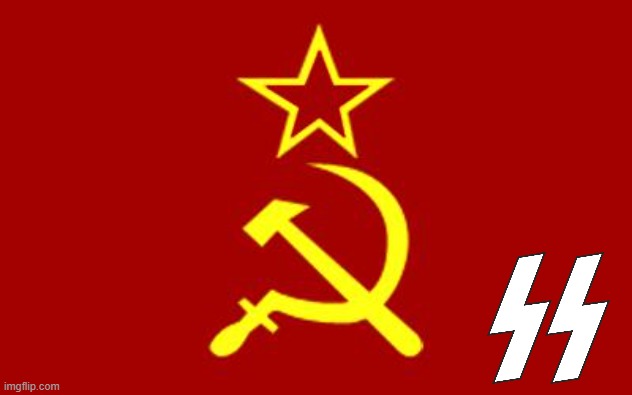 Soviet SS FLAG | image tagged in soviet flag,ss,communist,nazi | made w/ Imgflip meme maker