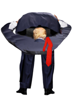 Head up ass (Trump) png transparent Blank Meme Template