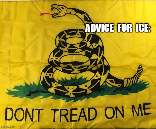 Advice For ICE | ADVICE  FOR  ICE: | image tagged in police state | made w/ Imgflip meme maker