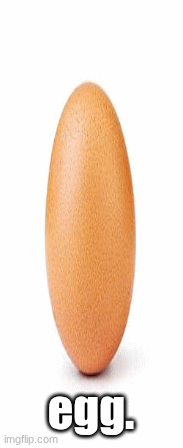 egg. | egg. | image tagged in gifs,egg,memes,funny,eggs,haha | made w/ Imgflip images-to-gif maker