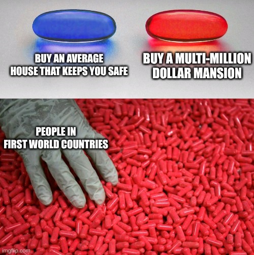 Blue or red pill | BUY AN AVERAGE HOUSE THAT KEEPS YOU SAFE; BUY A MULTI-MILLION DOLLAR MANSION; PEOPLE IN FIRST WORLD COUNTRIES | image tagged in blue or red pill | made w/ Imgflip meme maker