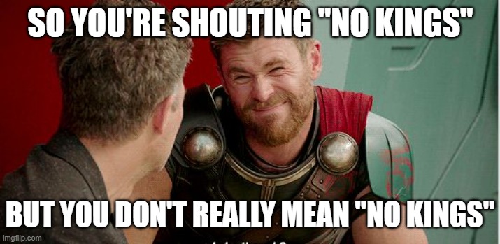 Thor is he though | SO YOU'RE SHOUTING "NO KINGS" BUT YOU DON'T REALLY MEAN "NO KINGS" | image tagged in thor is he though | made w/ Imgflip meme maker