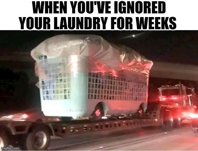 When You've Ignored Your Laundry For Weeks | WHEN YOU'VE IGNORED YOUR LAUNDRY FOR WEEKS | image tagged in chrisjoines1 | made w/ Imgflip meme maker