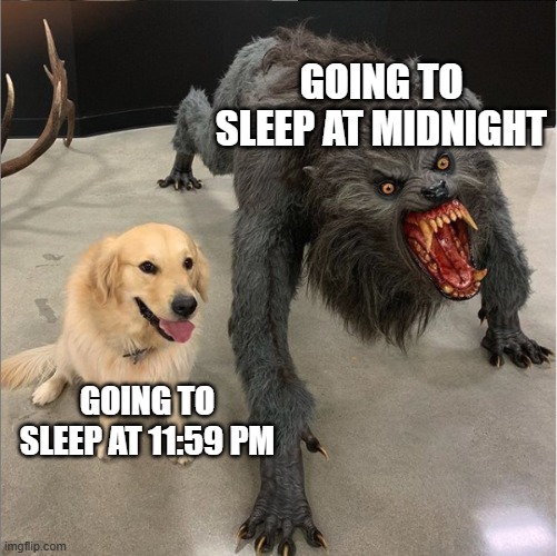 Times to go to sleep | GOING TO SLEEP AT MIDNIGHT; GOING TO SLEEP AT 11:59 PM | image tagged in dog vs werewolf,mom,sleep | made w/ Imgflip meme maker