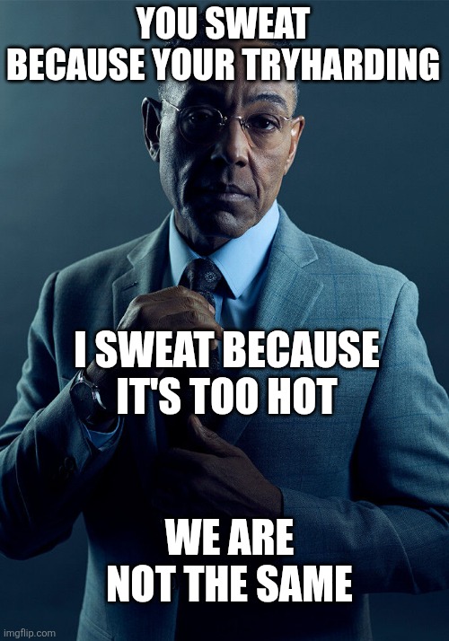 Real | YOU SWEAT BECAUSE YOUR TRYHARDING; I SWEAT BECAUSE IT'S TOO HOT; WE ARE NOT THE SAME | image tagged in gus fring we are not the same,memes,funny,gaming,relatable | made w/ Imgflip meme maker