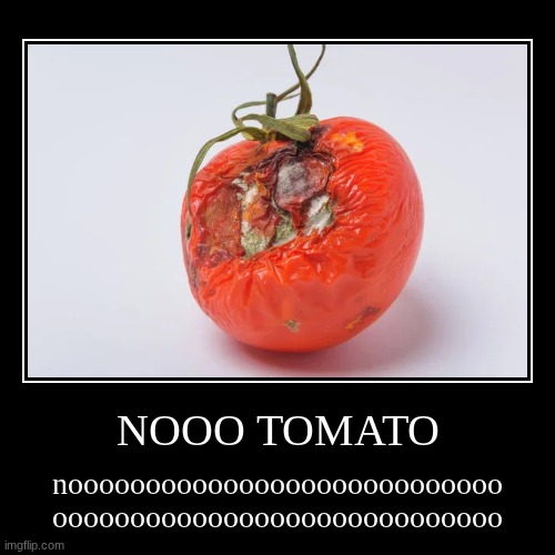 NOOO TOMATO | noooooooooooooooooooooooooooo
ooooooooooooooooooooooooooooo | image tagged in funny,demotivationals,sad,sad tomato,tomatoes,tomato | made w/ Imgflip demotivational maker