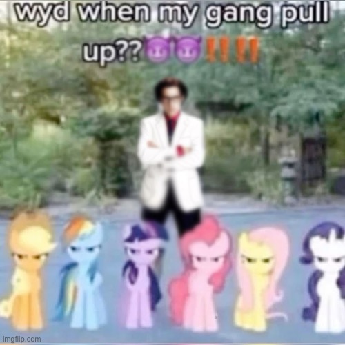 Wyd? | image tagged in funny | made w/ Imgflip meme maker
