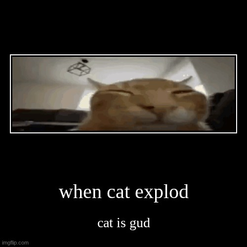 when cat explod | cat is gud | image tagged in funny,demotivationals | made w/ Imgflip demotivational maker