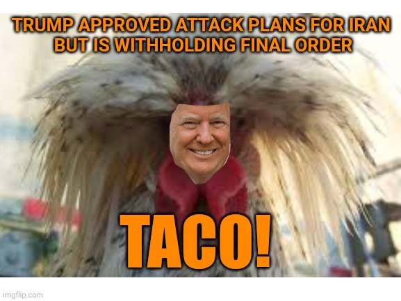 Iran ~ Not your Grandfather's Iraq | TRUMP APPROVED ATTACK PLANS FOR IRAN 

BUT IS WITHHOLDING FINAL ORDER; TACO! | image tagged in trump,taco,iran,israel,funny memes | made w/ Imgflip meme maker