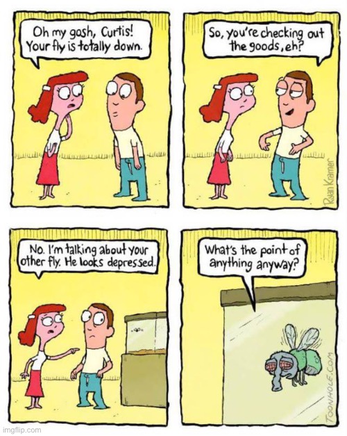 Your fly is down… | image tagged in comics,fly,depressed | made w/ Imgflip meme maker