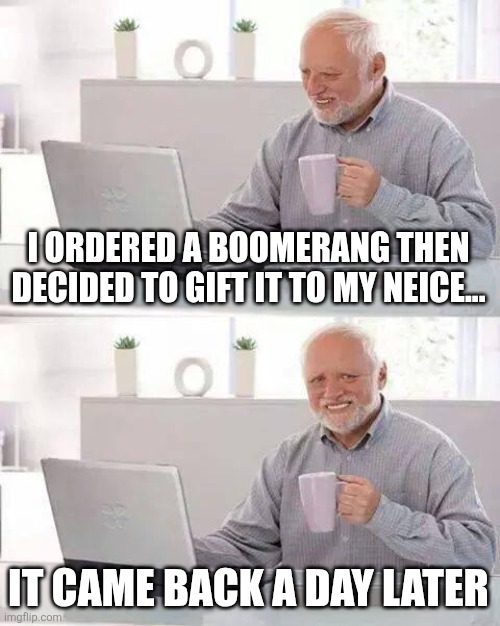 Boomerang always comes back | I ORDERED A BOOMERANG THEN DECIDED TO GIFT IT TO MY NEICE... IT CAME BACK A DAY LATER | image tagged in memes,hide the pain harold,jpfan102504 | made w/ Imgflip meme maker