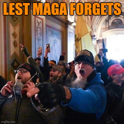 Capitol Traitors | LEST MAGA FORGETS | image tagged in capitol traitors | made w/ Imgflip meme maker