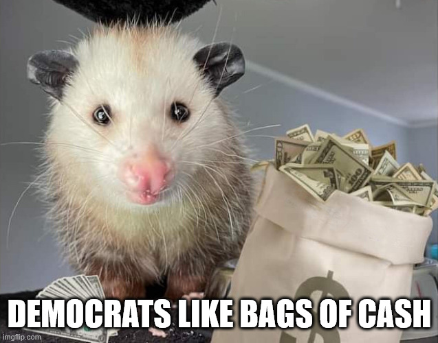 DEMOCRATS LIKE BAGS OF CASH | made w/ Imgflip meme maker