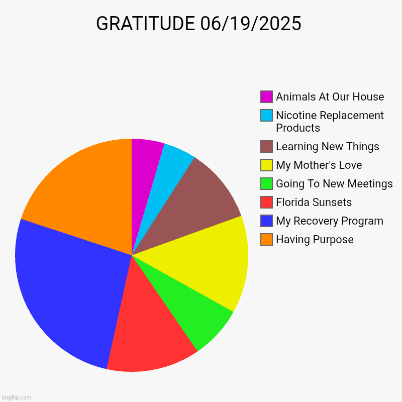 Gratitude on 07/07/25 | GRATITUDE 06/19/2025 | Having Purpose, My Recovery Program , Florida Sunsets, Going To New Meetings , My Mother's Love , Learning New Things | image tagged in charts,pie charts | made w/ Imgflip chart maker