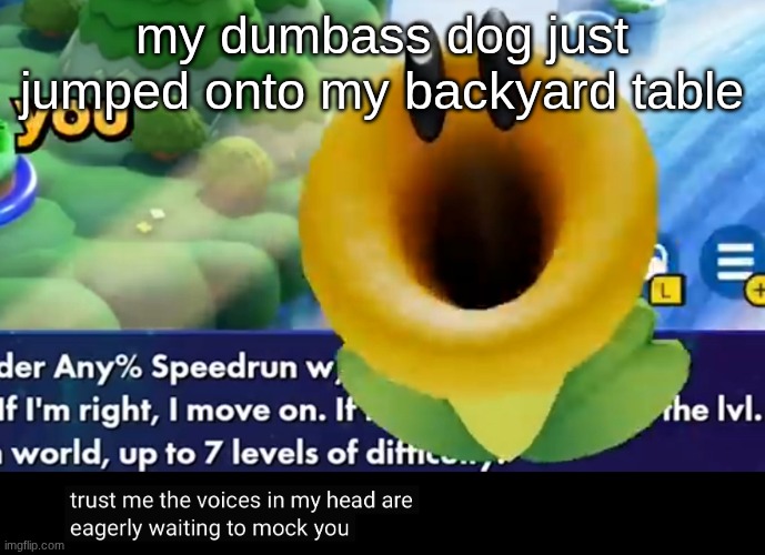trust me the voices in my head are eagerly waiting to mock you | my dumbass dog just jumped onto my backyard table | image tagged in trust me the voices in my head are eagerly waiting to mock you | made w/ Imgflip meme maker