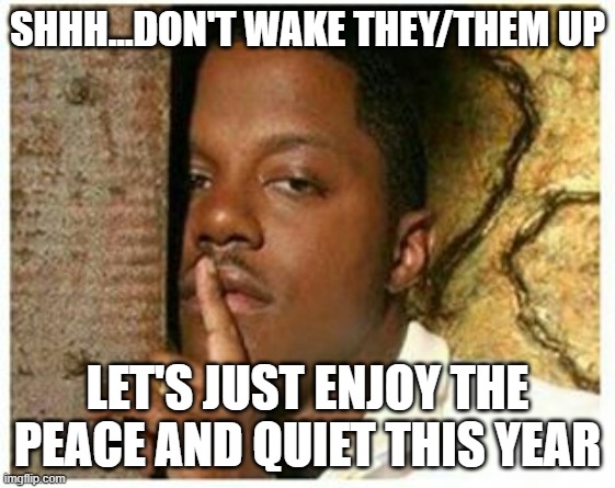 Shhh | SHHH...DON'T WAKE THEY/THEM UP LET'S JUST ENJOY THE PEACE AND QUIET THIS YEAR | image tagged in shhh | made w/ Imgflip meme maker