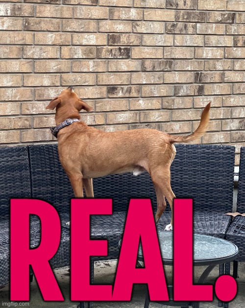 REAL. | made w/ Imgflip meme maker