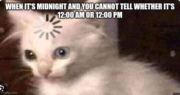 Buffering Cat | WHEN IT'S MIDNIGHT AND YOU CANNOT TELL WHETHER IT'S
12:00 AM OR 12:00 PM | image tagged in buffering cat | made w/ Imgflip meme maker