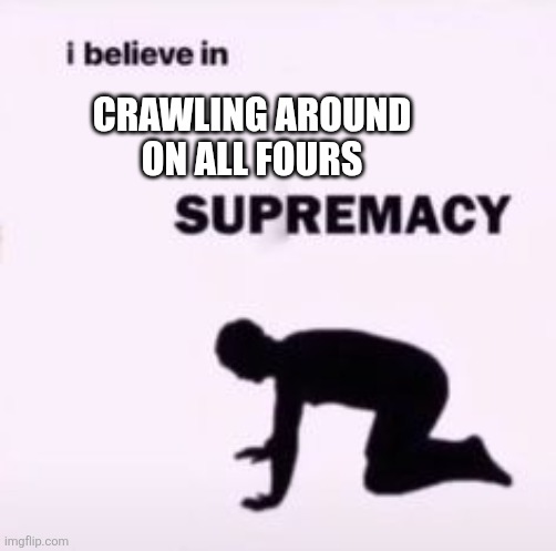 Super fun | CRAWLING AROUND ON ALL FOURS | image tagged in i believe in supremacy,memes,literal meme | made w/ Imgflip meme maker