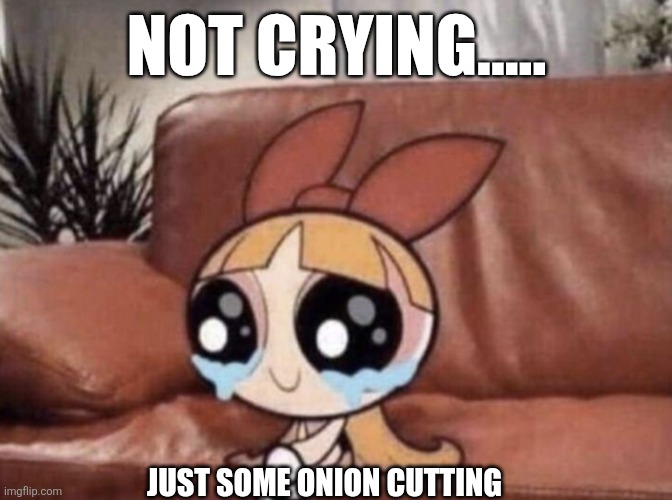 Eyes | NOT CRYING..... JUST SOME ONION CUTTING | image tagged in yeah okay tears in eyes | made w/ Imgflip meme maker