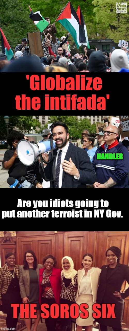 Oh yea he would be great | 'Globalize the intifada'; HANDLER; Are you idiots going to put another terroist in NY Gov. | made w/ Imgflip meme maker