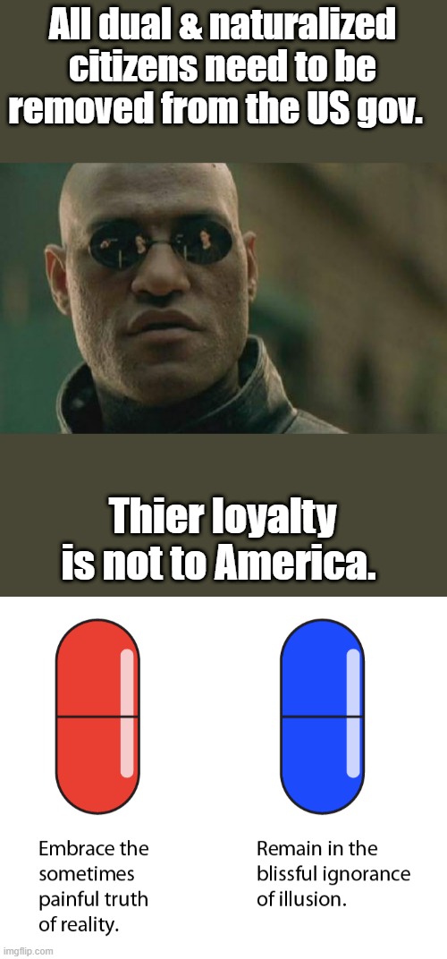 All dual & naturalized citizens need to be removed from the US gov. Thier loyalty is not to America. | image tagged in memes,matrix morpheus | made w/ Imgflip meme maker