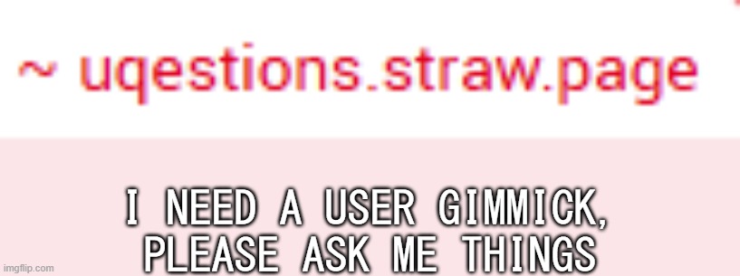 I NEED A USER GIMMICK, PLEASE ASK ME THINGS | made w/ Imgflip meme maker