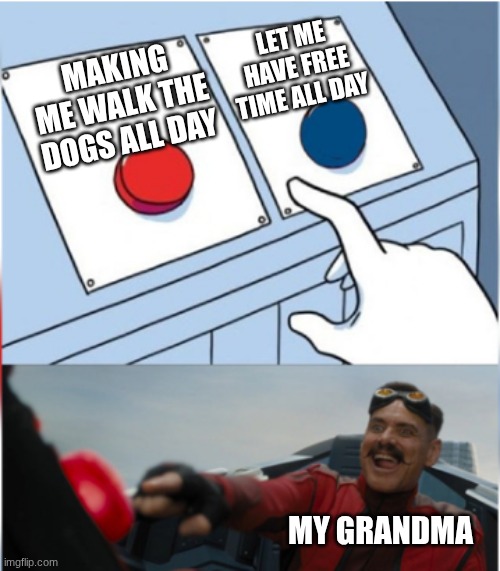 . | LET ME HAVE FREE TIME ALL DAY; MAKING ME WALK THE DOGS ALL DAY; MY GRANDMA | image tagged in robotnik pressing red button | made w/ Imgflip meme maker