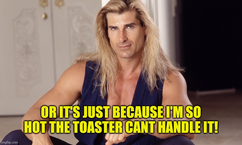 Fabio  | OR IT'S JUST BECAUSE I'M SO HOT THE TOASTER CANT HANDLE IT! | image tagged in fabio | made w/ Imgflip meme maker