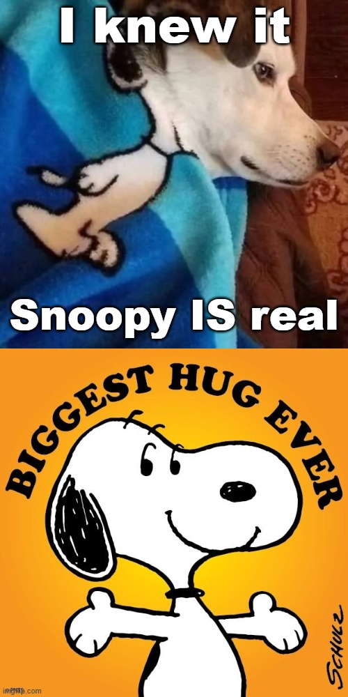 Doggie and his well placed blankie | I knew it; Snoopy IS real | image tagged in snoopy,dogs,memes | made w/ Imgflip meme maker
