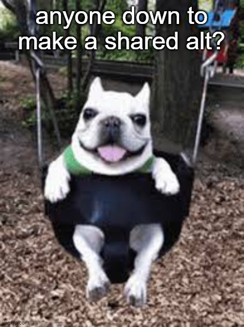 very good idea trust bro | anyone down to make a shared alt? | made w/ Imgflip meme maker