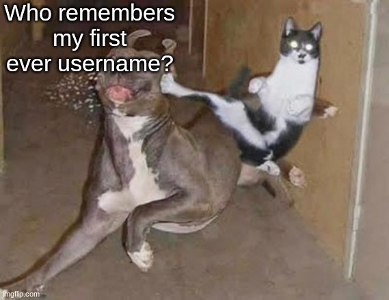 get rekt (announcement version) | Who remembers my first ever username? | image tagged in get rekt announcement version | made w/ Imgflip meme maker