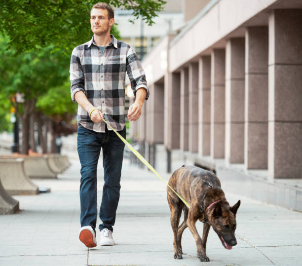 Man Walking Dog Blank Meme Template