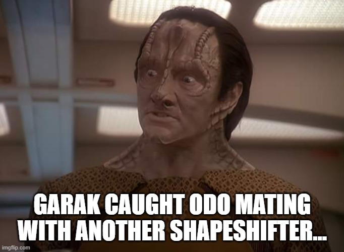 Unsee This | GARAK CAUGHT ODO MATING WITH ANOTHER SHAPESHIFTER... | image tagged in garak | made w/ Imgflip meme maker